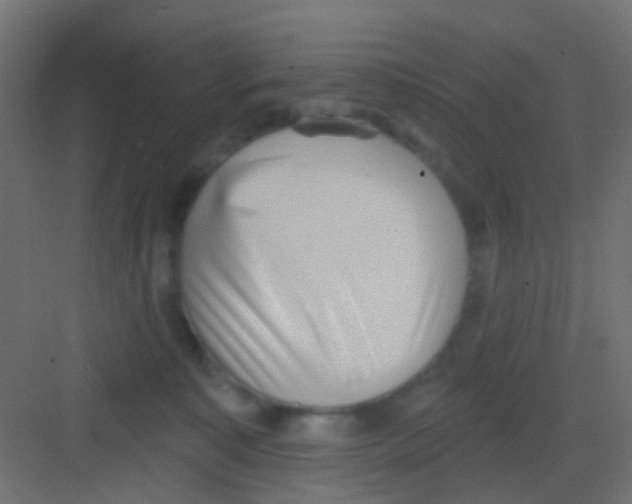 X0000081320323200702082143