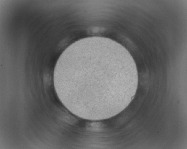 X0000081320324200702082143