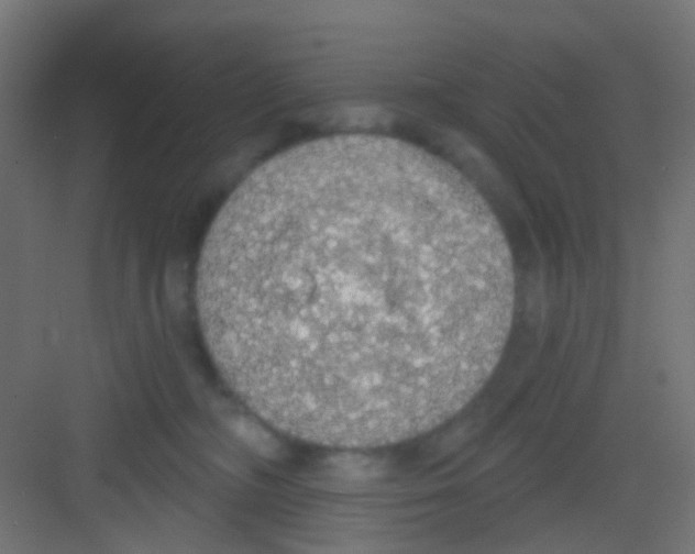 X0000081320326200702082143