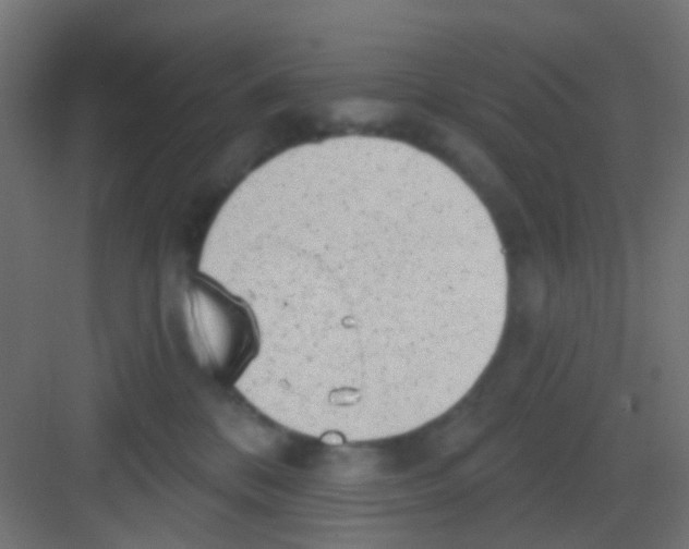 X0000081320328200702082142