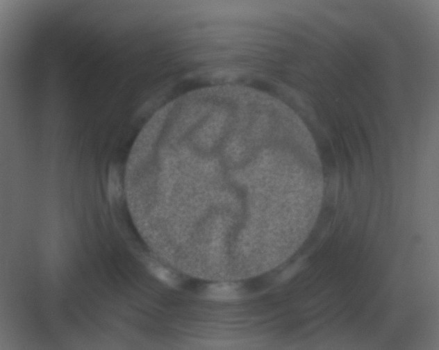 X0000081320335200702082142