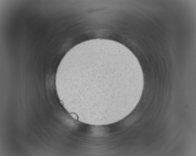 X0000081320336200702082142