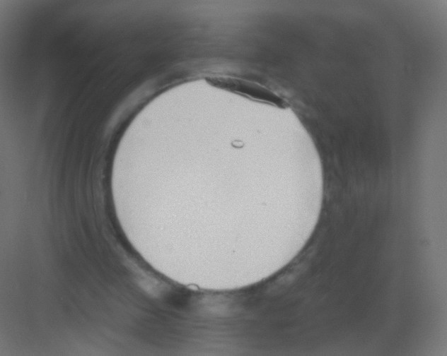 X0000081320341200702082142