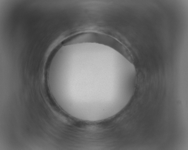 X0000081320344200702082142