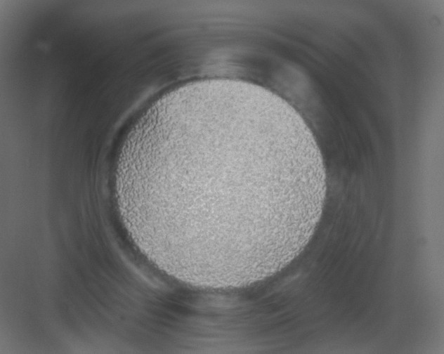 X0000081320347200702082142