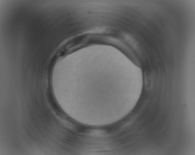 X0000081320348200702082142