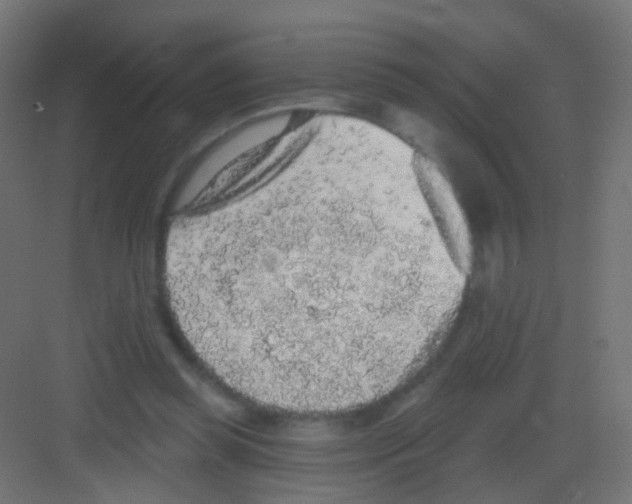 X0000081320349200702082142