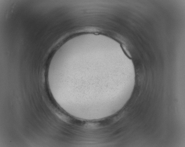 X0000081320350200702082142