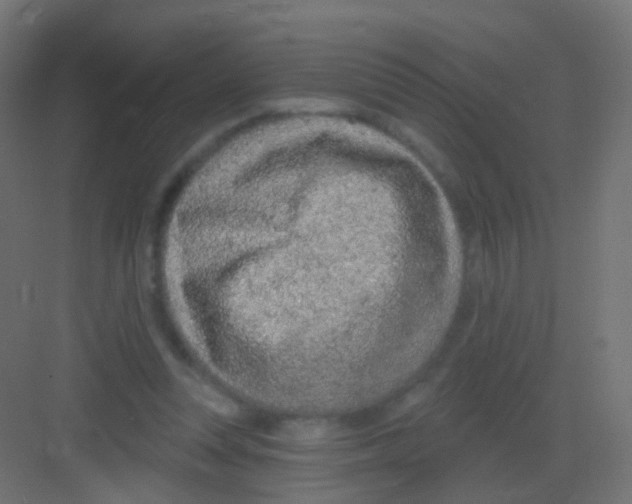 X0000081320351200702082142