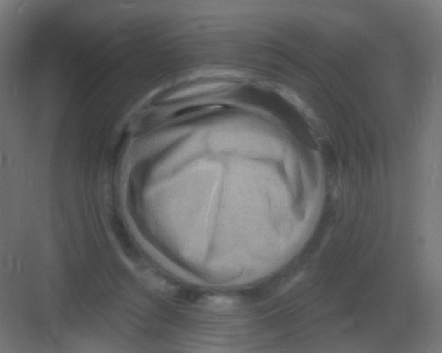 X0000081320352200702082142