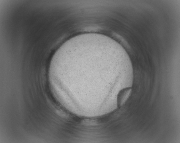 X0000081320354200702082142