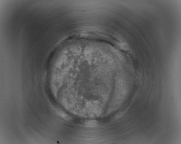 X0000081320355200702082142