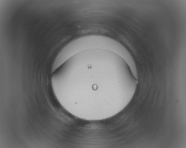 X0000081320356200702082142