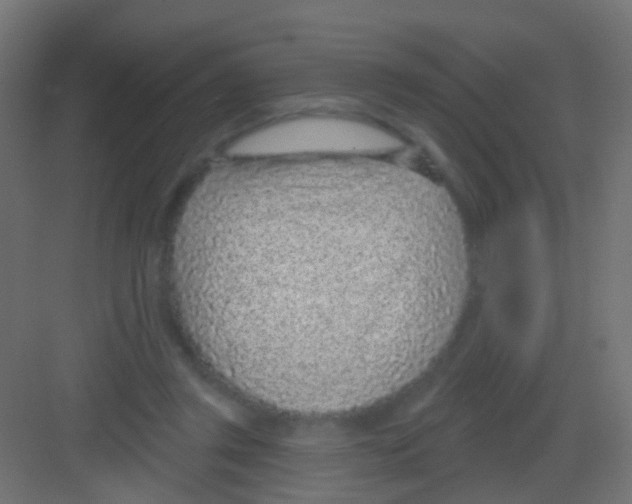 X0000081320357200702082142