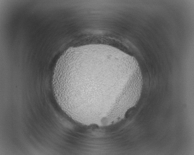 X0000081320359200702082142