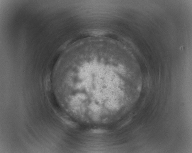 X0000081320360200702082142