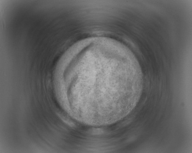 X0000081320361200702082142