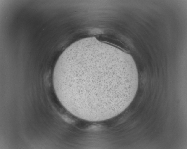 X0000081320364200702082142