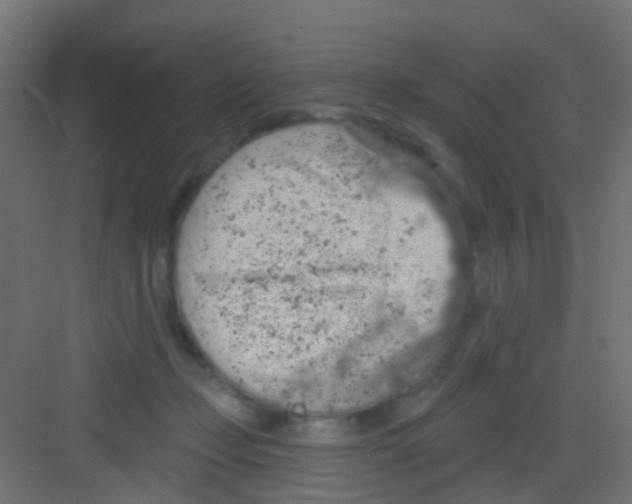 X0000081320365200702082142