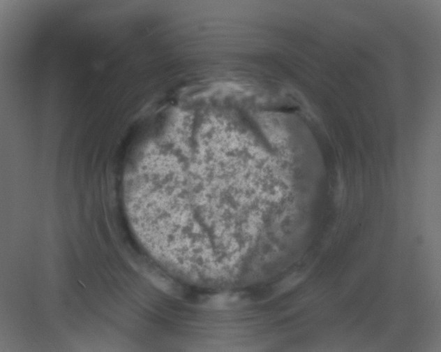 X0000081320366200702082142