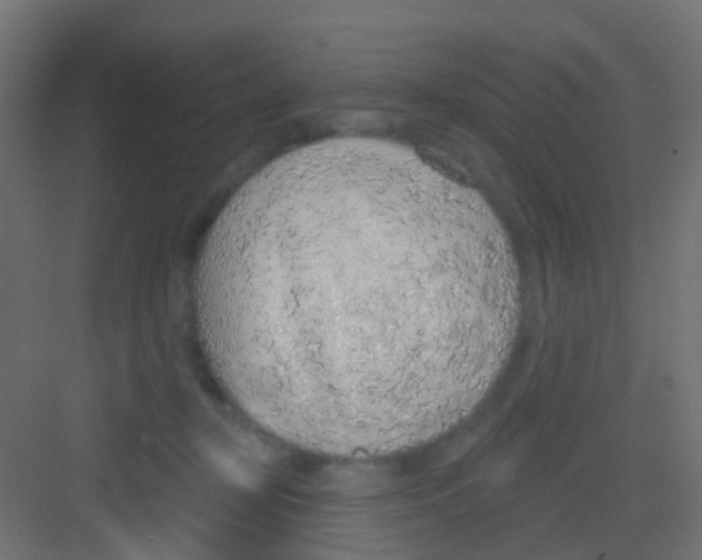 X0000081320367200702082142