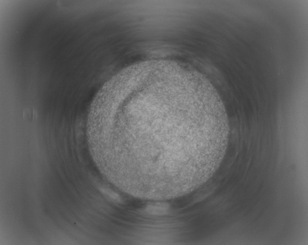 X0000081320369200702082142