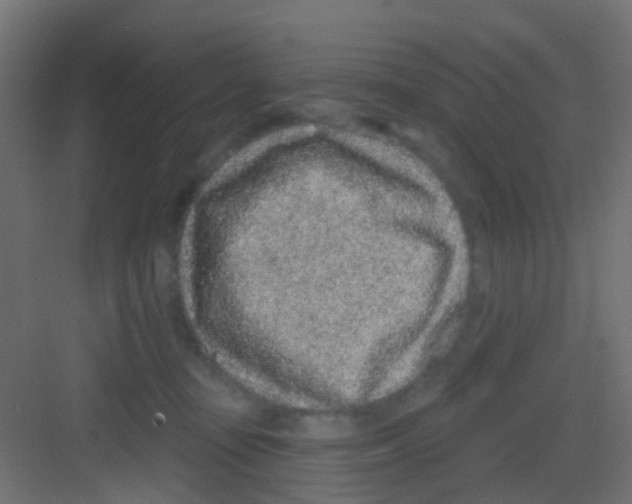 X0000081320371200702082142