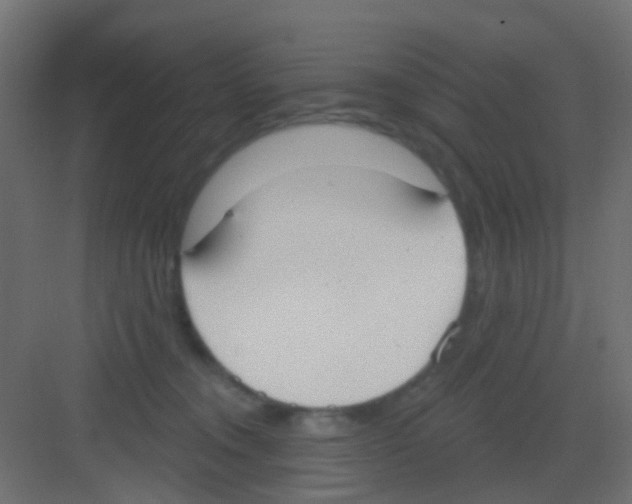 X0000081320372200702082142