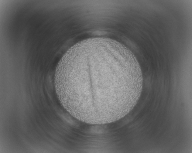 X0000081320373200702082142