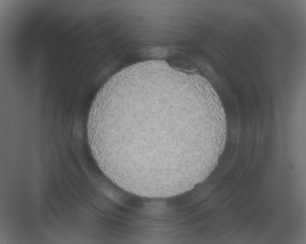 X0000081320374200702082142