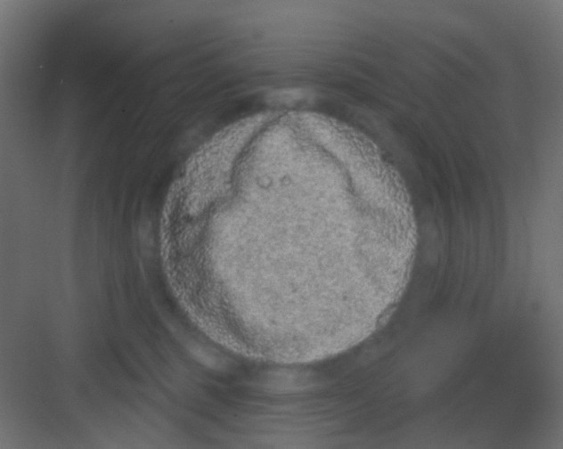 X0000081320375200702082142