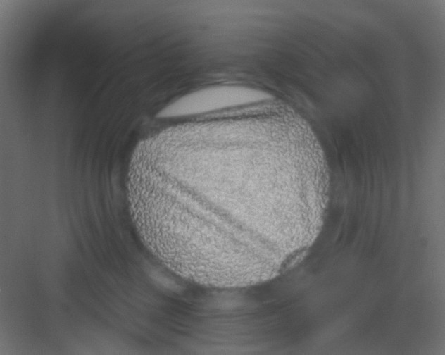 X0000081320377200702082142