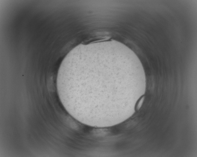 X0000081320378200702082142