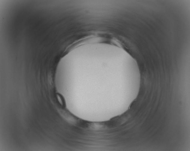 X0000081320380200702082142