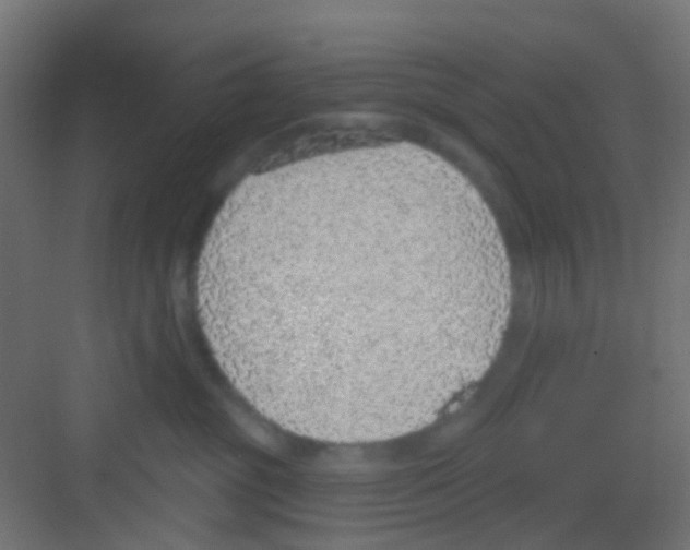 X0000081320381200702082142