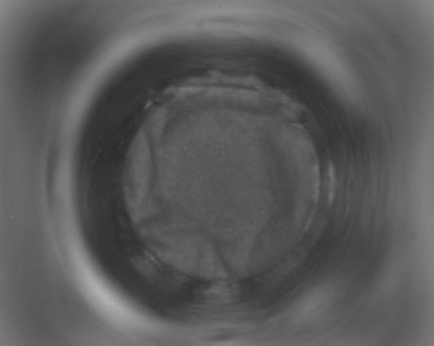 X0000081320383200702082142