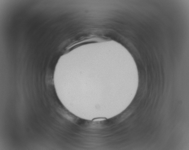 X0000081320384200702082142