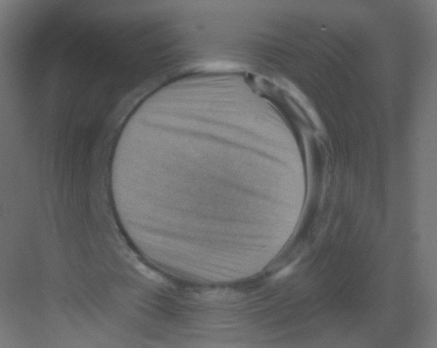 X0000081320385200702082142