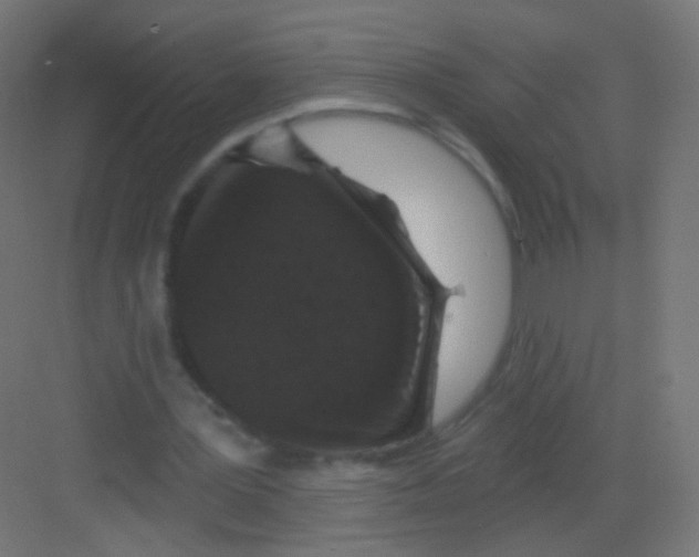 X0000081320387200702082141