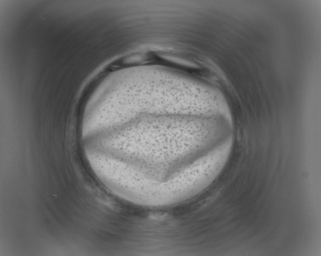 X0000081320388200702082141