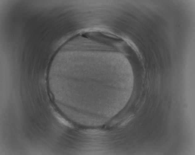 X0000081320389200702082141