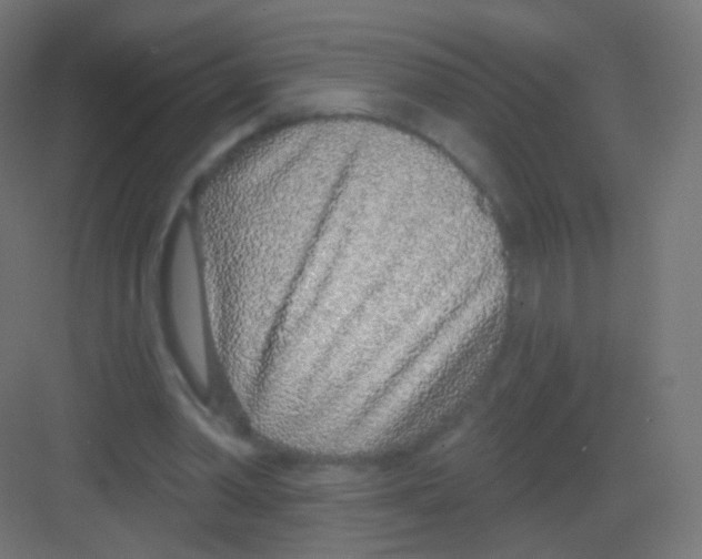 X0000081320390200702082141