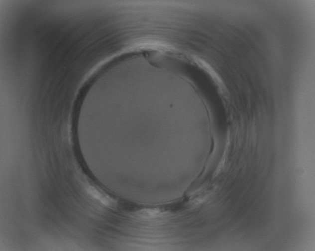 X0000081320391200702082141