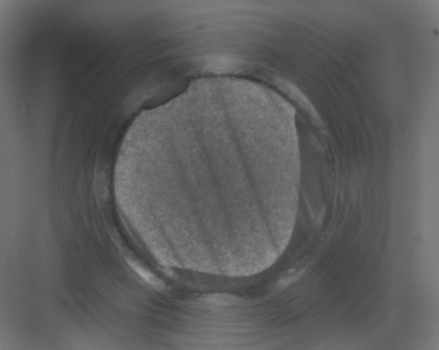 X0000081320393200702082141