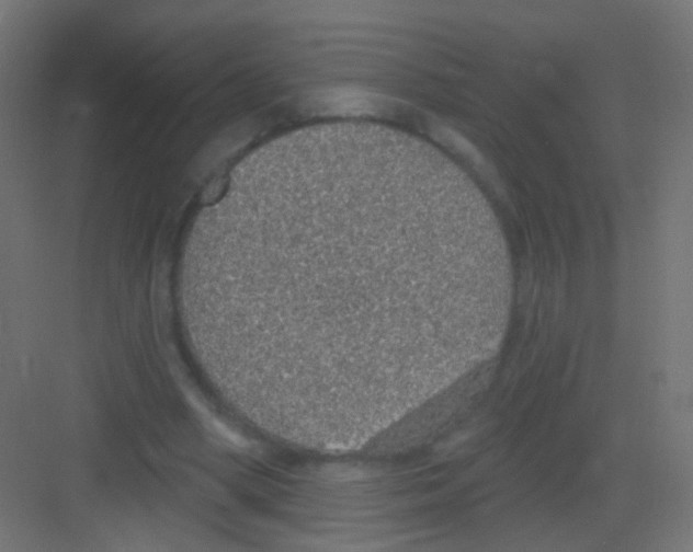 X0000081320394200702082141