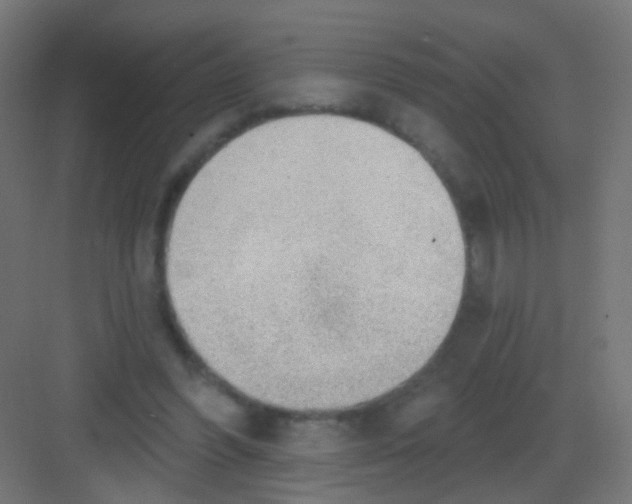 X0000081320396200702082141