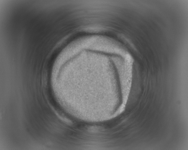 X0000081320400200702082141