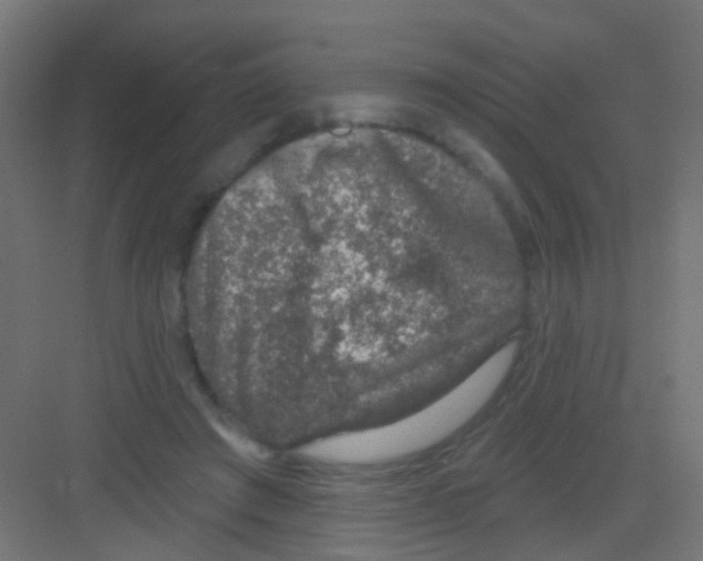 X0000081320401200702082141