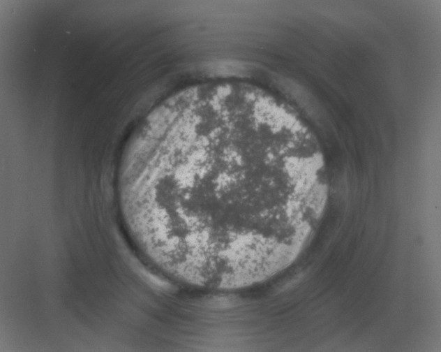 X0000081320402200702082141