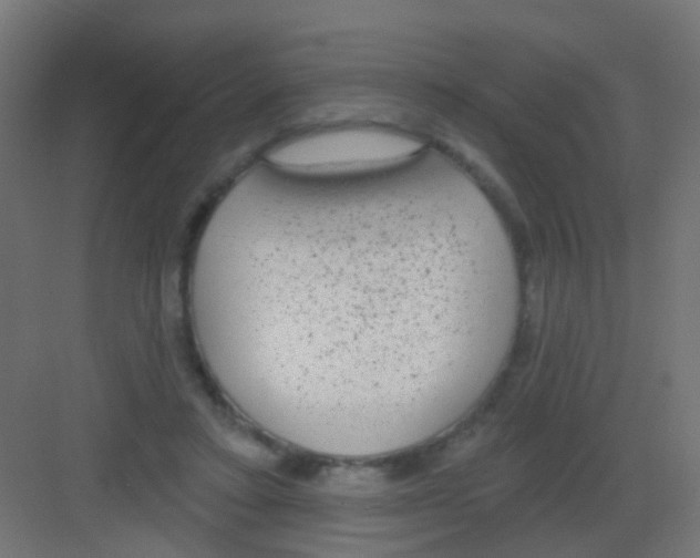 X0000081320403200702082141